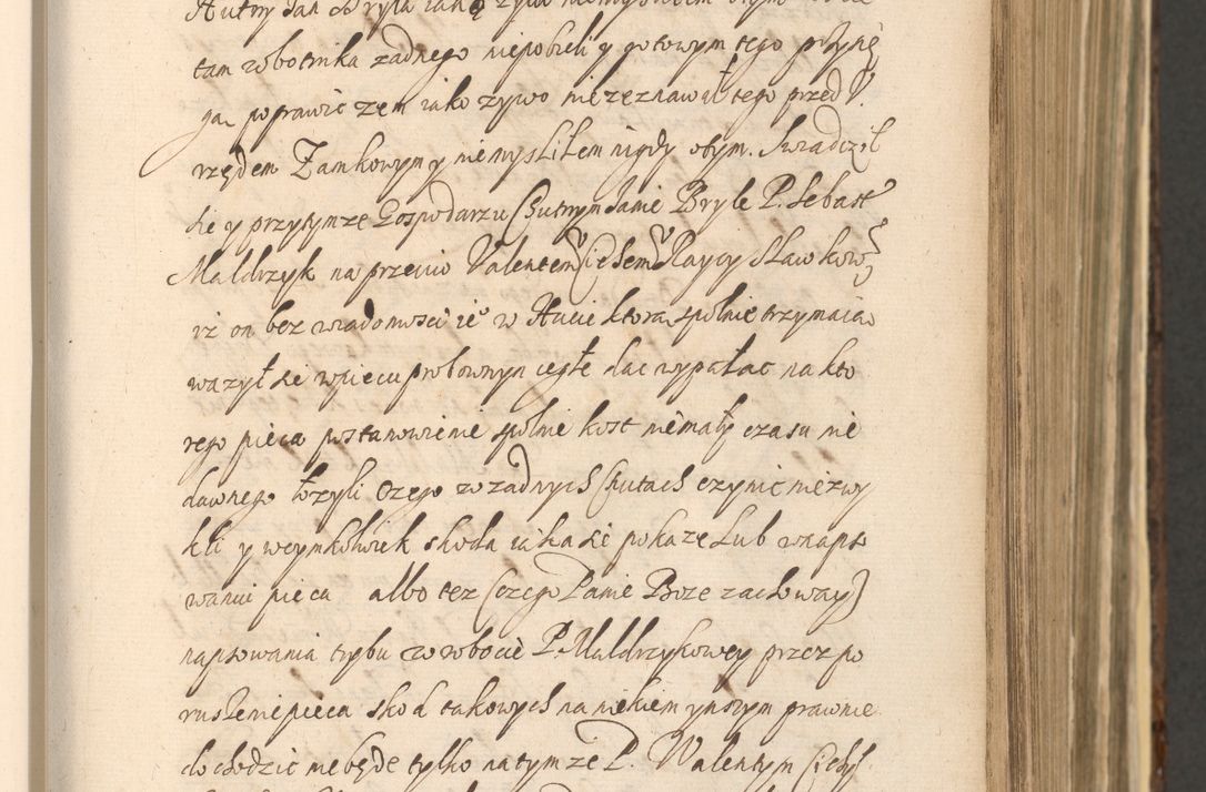 Zdjęcie nr 325 dla obiektu archiwalnego: Acta actorum, institutionum, resignationum, provisionum, decretorum, sententiarum, inscriptionum, testamentorum, confirmationum, ingrossationum, obligationum, quietationum, constitutionum R. D. Andreae Szołdrski, episcopi Kijoviensis, Gnesnensis et Posnaniensis praepositi, cantoris Cracoviensis, Vladislaviensis canonici, R. S. M. secretarii, episcopatus Cracoviensis in spiritualibus er temporalibus deputati anno 1633, 1634 et 1635