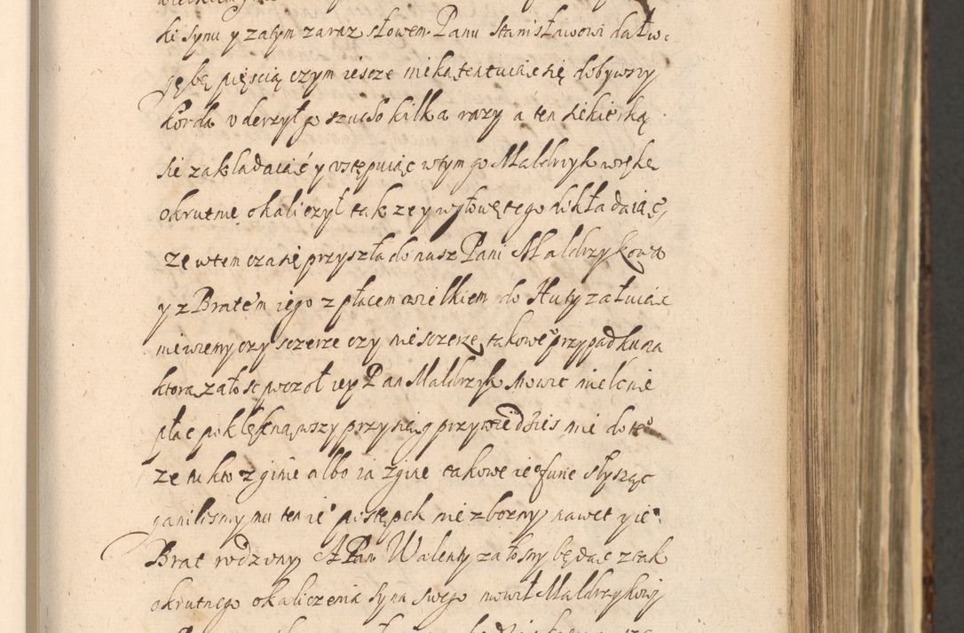 Zdjęcie nr 321 dla obiektu archiwalnego: Acta actorum, institutionum, resignationum, provisionum, decretorum, sententiarum, inscriptionum, testamentorum, confirmationum, ingrossationum, obligationum, quietationum, constitutionum R. D. Andreae Szołdrski, episcopi Kijoviensis, Gnesnensis et Posnaniensis praepositi, cantoris Cracoviensis, Vladislaviensis canonici, R. S. M. secretarii, episcopatus Cracoviensis in spiritualibus er temporalibus deputati anno 1633, 1634 et 1635