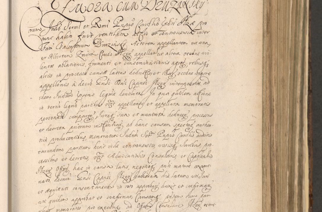 Zdjęcie nr 297 dla obiektu archiwalnego: Acta actorum, institutionum, resignationum, provisionum, decretorum, sententiarum, inscriptionum, testamentorum, confirmationum, ingrossationum, obligationum, quietationum, constitutionum R. D. Andreae Szołdrski, episcopi Kijoviensis, Gnesnensis et Posnaniensis praepositi, cantoris Cracoviensis, Vladislaviensis canonici, R. S. M. secretarii, episcopatus Cracoviensis in spiritualibus er temporalibus deputati anno 1633, 1634 et 1635