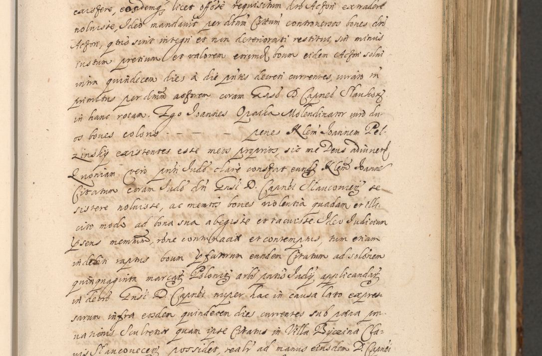 Zdjęcie nr 275 dla obiektu archiwalnego: Acta actorum, institutionum, resignationum, provisionum, decretorum, sententiarum, inscriptionum, testamentorum, confirmationum, ingrossationum, obligationum, quietationum, constitutionum R. D. Andreae Szołdrski, episcopi Kijoviensis, Gnesnensis et Posnaniensis praepositi, cantoris Cracoviensis, Vladislaviensis canonici, R. S. M. secretarii, episcopatus Cracoviensis in spiritualibus er temporalibus deputati anno 1633, 1634 et 1635