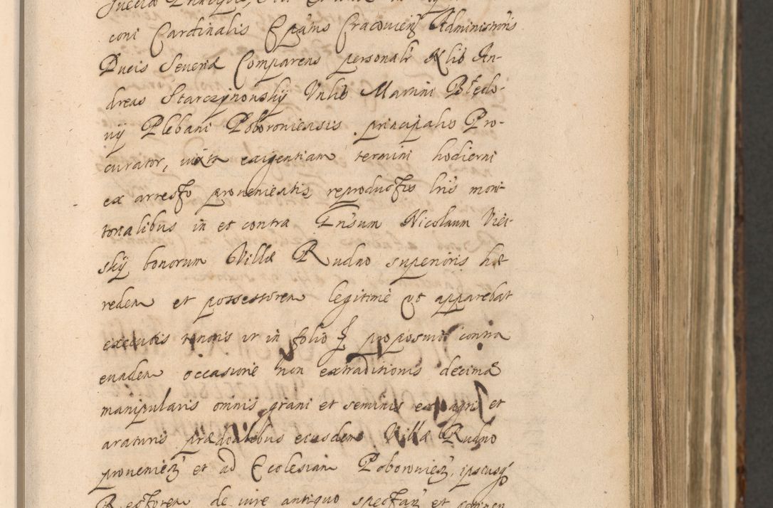 Zdjęcie nr 271 dla obiektu archiwalnego: Acta actorum, institutionum, resignationum, provisionum, decretorum, sententiarum, inscriptionum, testamentorum, confirmationum, ingrossationum, obligationum, quietationum, constitutionum R. D. Andreae Szołdrski, episcopi Kijoviensis, Gnesnensis et Posnaniensis praepositi, cantoris Cracoviensis, Vladislaviensis canonici, R. S. M. secretarii, episcopatus Cracoviensis in spiritualibus er temporalibus deputati anno 1633, 1634 et 1635