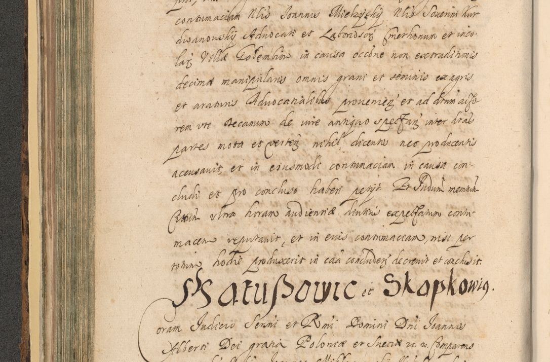 Zdjęcie nr 258 dla obiektu archiwalnego: Acta actorum, institutionum, resignationum, provisionum, decretorum, sententiarum, inscriptionum, testamentorum, confirmationum, ingrossationum, obligationum, quietationum, constitutionum R. D. Andreae Szołdrski, episcopi Kijoviensis, Gnesnensis et Posnaniensis praepositi, cantoris Cracoviensis, Vladislaviensis canonici, R. S. M. secretarii, episcopatus Cracoviensis in spiritualibus er temporalibus deputati anno 1633, 1634 et 1635