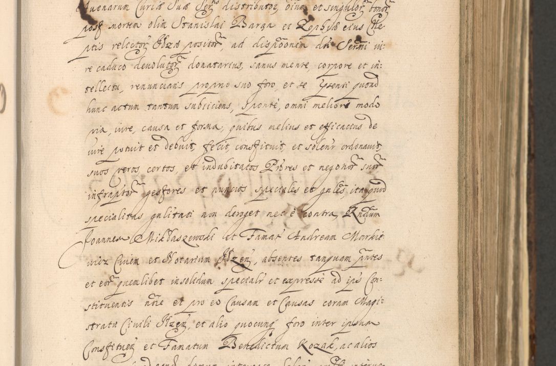 Zdjęcie nr 241 dla obiektu archiwalnego: Acta actorum, institutionum, resignationum, provisionum, decretorum, sententiarum, inscriptionum, testamentorum, confirmationum, ingrossationum, obligationum, quietationum, constitutionum R. D. Andreae Szołdrski, episcopi Kijoviensis, Gnesnensis et Posnaniensis praepositi, cantoris Cracoviensis, Vladislaviensis canonici, R. S. M. secretarii, episcopatus Cracoviensis in spiritualibus er temporalibus deputati anno 1633, 1634 et 1635