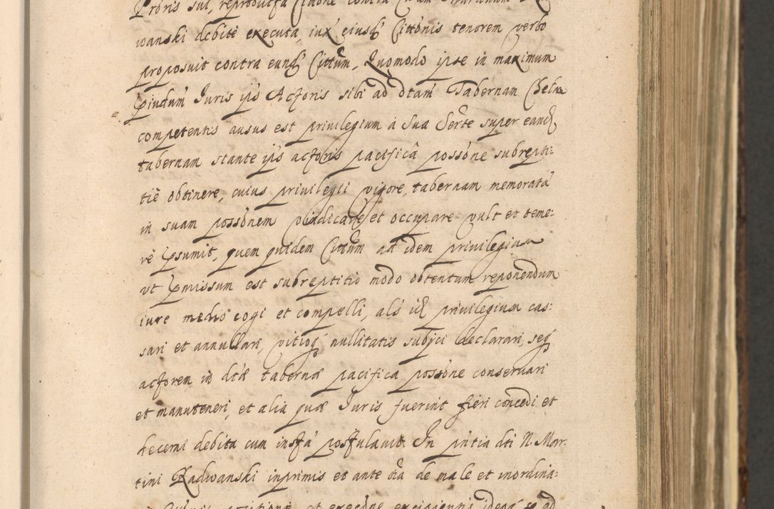 Zdjęcie nr 235 dla obiektu archiwalnego: Acta actorum, institutionum, resignationum, provisionum, decretorum, sententiarum, inscriptionum, testamentorum, confirmationum, ingrossationum, obligationum, quietationum, constitutionum R. D. Andreae Szołdrski, episcopi Kijoviensis, Gnesnensis et Posnaniensis praepositi, cantoris Cracoviensis, Vladislaviensis canonici, R. S. M. secretarii, episcopatus Cracoviensis in spiritualibus er temporalibus deputati anno 1633, 1634 et 1635
