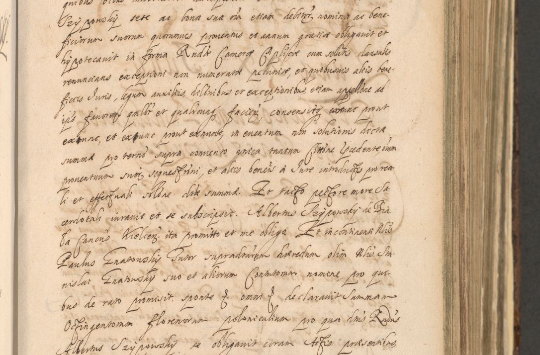 Zdjęcie nr 225 dla obiektu archiwalnego: Acta actorum, institutionum, resignationum, provisionum, decretorum, sententiarum, inscriptionum, testamentorum, confirmationum, ingrossationum, obligationum, quietationum, constitutionum R. D. Andreae Szołdrski, episcopi Kijoviensis, Gnesnensis et Posnaniensis praepositi, cantoris Cracoviensis, Vladislaviensis canonici, R. S. M. secretarii, episcopatus Cracoviensis in spiritualibus er temporalibus deputati anno 1633, 1634 et 1635