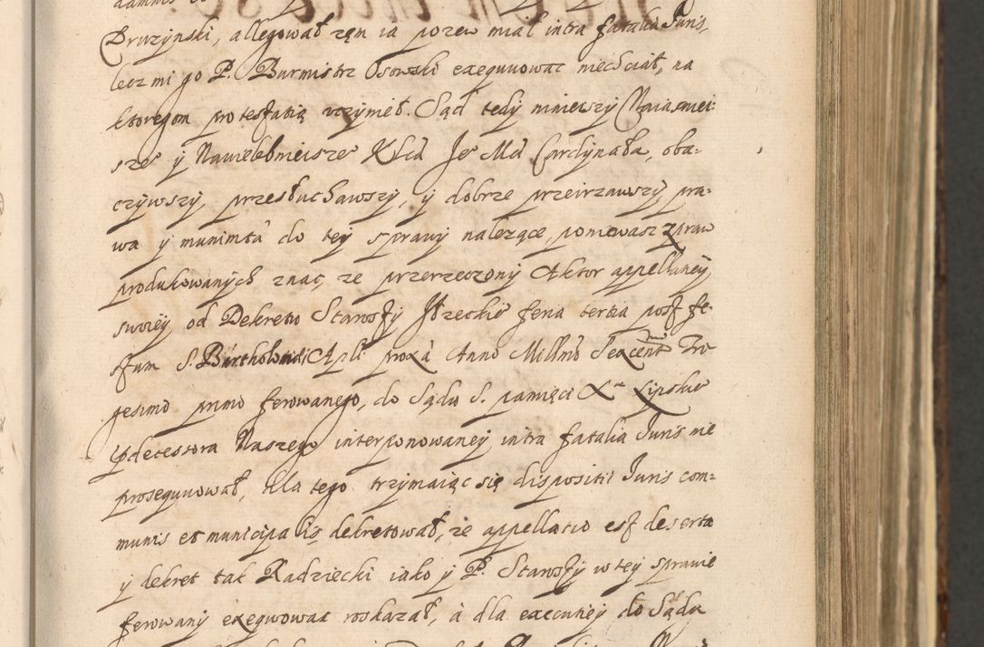 Zdjęcie nr 217 dla obiektu archiwalnego: Acta actorum, institutionum, resignationum, provisionum, decretorum, sententiarum, inscriptionum, testamentorum, confirmationum, ingrossationum, obligationum, quietationum, constitutionum R. D. Andreae Szołdrski, episcopi Kijoviensis, Gnesnensis et Posnaniensis praepositi, cantoris Cracoviensis, Vladislaviensis canonici, R. S. M. secretarii, episcopatus Cracoviensis in spiritualibus er temporalibus deputati anno 1633, 1634 et 1635