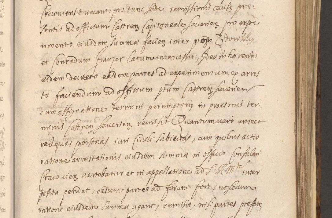 Zdjęcie nr 605 dla obiektu archiwalnego: Acta actorum, institutionum, resignationum, provisionum, decretorum, sententiarum, inscriptionum, testamentorum, confirmationum, ingrossationum, obligationum, quietationum, constitutionum R. D. Andreae Szołdrski, episcopi Kijoviensis, Gnesnensis et Posnaniensis praepositi, cantoris Cracoviensis, Vladislaviensis canonici, R. S. M. secretarii, episcopatus Cracoviensis in spiritualibus er temporalibus deputati anno 1633, 1634 et 1635