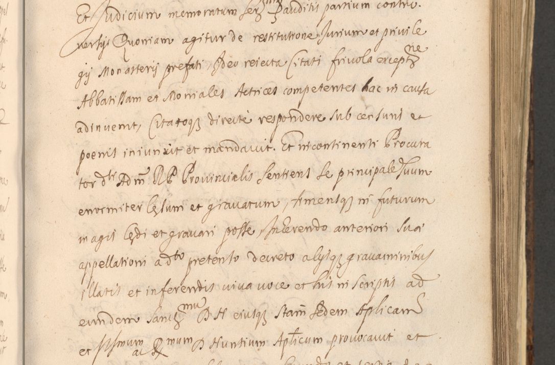 Zdjęcie nr 585 dla obiektu archiwalnego: Acta actorum, institutionum, resignationum, provisionum, decretorum, sententiarum, inscriptionum, testamentorum, confirmationum, ingrossationum, obligationum, quietationum, constitutionum R. D. Andreae Szołdrski, episcopi Kijoviensis, Gnesnensis et Posnaniensis praepositi, cantoris Cracoviensis, Vladislaviensis canonici, R. S. M. secretarii, episcopatus Cracoviensis in spiritualibus er temporalibus deputati anno 1633, 1634 et 1635