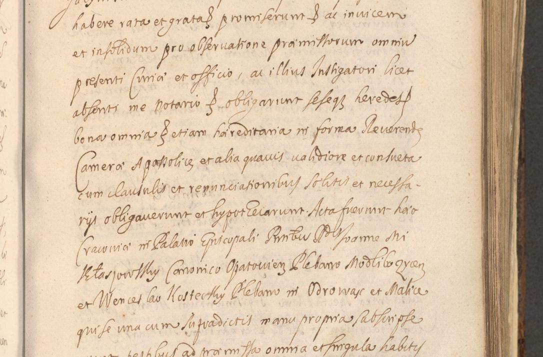 Zdjęcie nr 573 dla obiektu archiwalnego: Acta actorum, institutionum, resignationum, provisionum, decretorum, sententiarum, inscriptionum, testamentorum, confirmationum, ingrossationum, obligationum, quietationum, constitutionum R. D. Andreae Szołdrski, episcopi Kijoviensis, Gnesnensis et Posnaniensis praepositi, cantoris Cracoviensis, Vladislaviensis canonici, R. S. M. secretarii, episcopatus Cracoviensis in spiritualibus er temporalibus deputati anno 1633, 1634 et 1635
