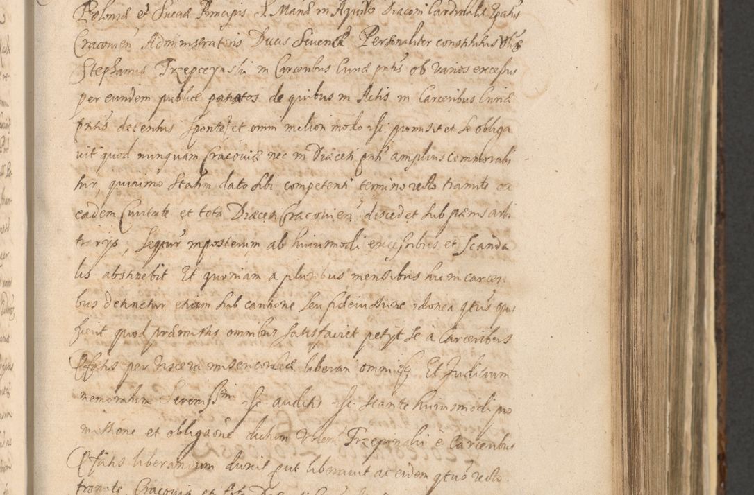 Zdjęcie nr 483 dla obiektu archiwalnego: Acta actorum, institutionum, resignationum, provisionum, decretorum, sententiarum, inscriptionum, testamentorum, confirmationum, ingrossationum, obligationum, quietationum, constitutionum R. D. Andreae Szołdrski, episcopi Kijoviensis, Gnesnensis et Posnaniensis praepositi, cantoris Cracoviensis, Vladislaviensis canonici, R. S. M. secretarii, episcopatus Cracoviensis in spiritualibus er temporalibus deputati anno 1633, 1634 et 1635