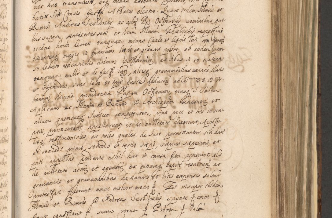 Zdjęcie nr 461 dla obiektu archiwalnego: Acta actorum, institutionum, resignationum, provisionum, decretorum, sententiarum, inscriptionum, testamentorum, confirmationum, ingrossationum, obligationum, quietationum, constitutionum R. D. Andreae Szołdrski, episcopi Kijoviensis, Gnesnensis et Posnaniensis praepositi, cantoris Cracoviensis, Vladislaviensis canonici, R. S. M. secretarii, episcopatus Cracoviensis in spiritualibus er temporalibus deputati anno 1633, 1634 et 1635