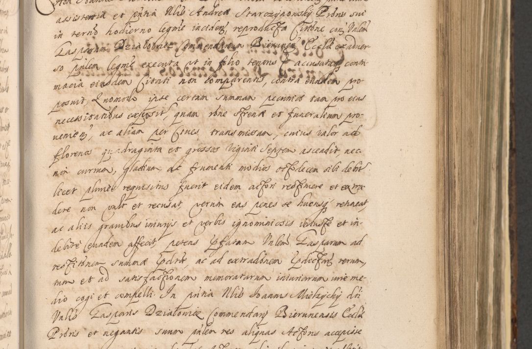 Zdjęcie nr 451 dla obiektu archiwalnego: Acta actorum, institutionum, resignationum, provisionum, decretorum, sententiarum, inscriptionum, testamentorum, confirmationum, ingrossationum, obligationum, quietationum, constitutionum R. D. Andreae Szołdrski, episcopi Kijoviensis, Gnesnensis et Posnaniensis praepositi, cantoris Cracoviensis, Vladislaviensis canonici, R. S. M. secretarii, episcopatus Cracoviensis in spiritualibus er temporalibus deputati anno 1633, 1634 et 1635