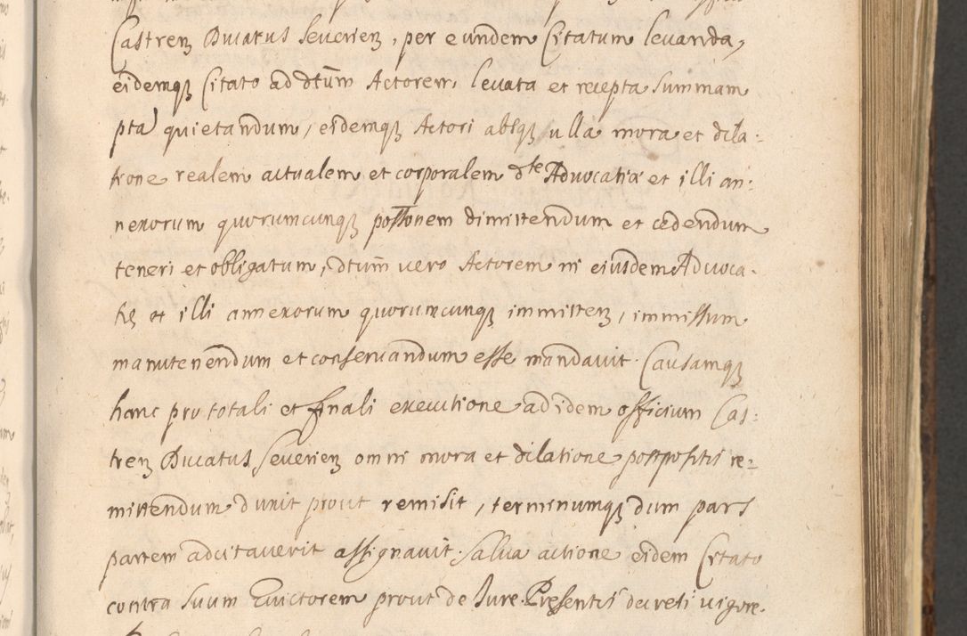 Zdjęcie nr 611 dla obiektu archiwalnego: Acta actorum, institutionum, resignationum, provisionum, decretorum, sententiarum, inscriptionum, testamentorum, confirmationum, ingrossationum, obligationum, quietationum, constitutionum R. D. Andreae Szołdrski, episcopi Kijoviensis, Gnesnensis et Posnaniensis praepositi, cantoris Cracoviensis, Vladislaviensis canonici, R. S. M. secretarii, episcopatus Cracoviensis in spiritualibus er temporalibus deputati anno 1633, 1634 et 1635