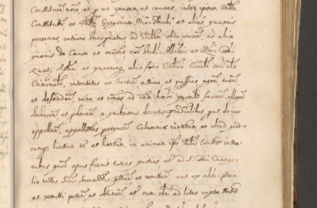 Zdjęcie nr 785 dla obiektu archiwalnego: Acta actorum, institutionum, resignationum, provisionum, decretorum, sententiarum, inscriptionum, testamentorum, confirmationum, ingrossationum, obligationum, quietationum, constitutionum R. D. Andreae Szołdrski, episcopi Kijoviensis, Gnesnensis et Posnaniensis praepositi, cantoris Cracoviensis, Vladislaviensis canonici, R. S. M. secretarii, episcopatus Cracoviensis in spiritualibus er temporalibus deputati anno 1633, 1634 et 1635