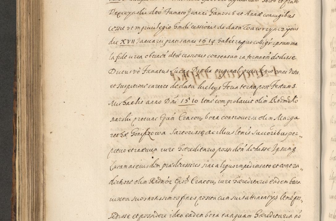 Zdjęcie nr 740 dla obiektu archiwalnego: Acta actorum, institutionum, resignationum, provisionum, decretorum, sententiarum, inscriptionum, testamentorum, confirmationum, ingrossationum, obligationum, quietationum, constitutionum R. D. Andreae Szołdrski, episcopi Kijoviensis, Gnesnensis et Posnaniensis praepositi, cantoris Cracoviensis, Vladislaviensis canonici, R. S. M. secretarii, episcopatus Cracoviensis in spiritualibus er temporalibus deputati anno 1633, 1634 et 1635