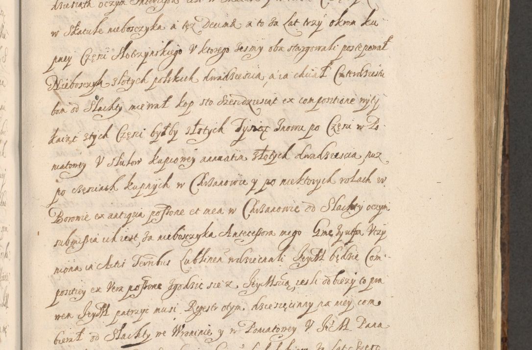 Zdjęcie nr 729 dla obiektu archiwalnego: Acta actorum, institutionum, resignationum, provisionum, decretorum, sententiarum, inscriptionum, testamentorum, confirmationum, ingrossationum, obligationum, quietationum, constitutionum R. D. Andreae Szołdrski, episcopi Kijoviensis, Gnesnensis et Posnaniensis praepositi, cantoris Cracoviensis, Vladislaviensis canonici, R. S. M. secretarii, episcopatus Cracoviensis in spiritualibus er temporalibus deputati anno 1633, 1634 et 1635