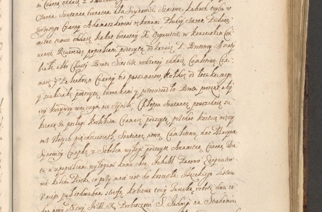 Zdjęcie nr 725 dla obiektu archiwalnego: Acta actorum, institutionum, resignationum, provisionum, decretorum, sententiarum, inscriptionum, testamentorum, confirmationum, ingrossationum, obligationum, quietationum, constitutionum R. D. Andreae Szołdrski, episcopi Kijoviensis, Gnesnensis et Posnaniensis praepositi, cantoris Cracoviensis, Vladislaviensis canonici, R. S. M. secretarii, episcopatus Cracoviensis in spiritualibus er temporalibus deputati anno 1633, 1634 et 1635
