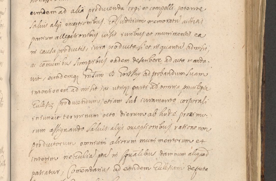 Zdjęcie nr 677 dla obiektu archiwalnego: Acta actorum, institutionum, resignationum, provisionum, decretorum, sententiarum, inscriptionum, testamentorum, confirmationum, ingrossationum, obligationum, quietationum, constitutionum R. D. Andreae Szołdrski, episcopi Kijoviensis, Gnesnensis et Posnaniensis praepositi, cantoris Cracoviensis, Vladislaviensis canonici, R. S. M. secretarii, episcopatus Cracoviensis in spiritualibus er temporalibus deputati anno 1633, 1634 et 1635