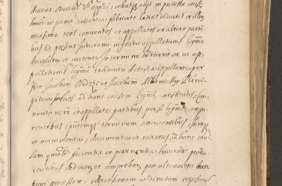 Zdjęcie nr 653 dla obiektu archiwalnego: Acta actorum, institutionum, resignationum, provisionum, decretorum, sententiarum, inscriptionum, testamentorum, confirmationum, ingrossationum, obligationum, quietationum, constitutionum R. D. Andreae Szołdrski, episcopi Kijoviensis, Gnesnensis et Posnaniensis praepositi, cantoris Cracoviensis, Vladislaviensis canonici, R. S. M. secretarii, episcopatus Cracoviensis in spiritualibus er temporalibus deputati anno 1633, 1634 et 1635