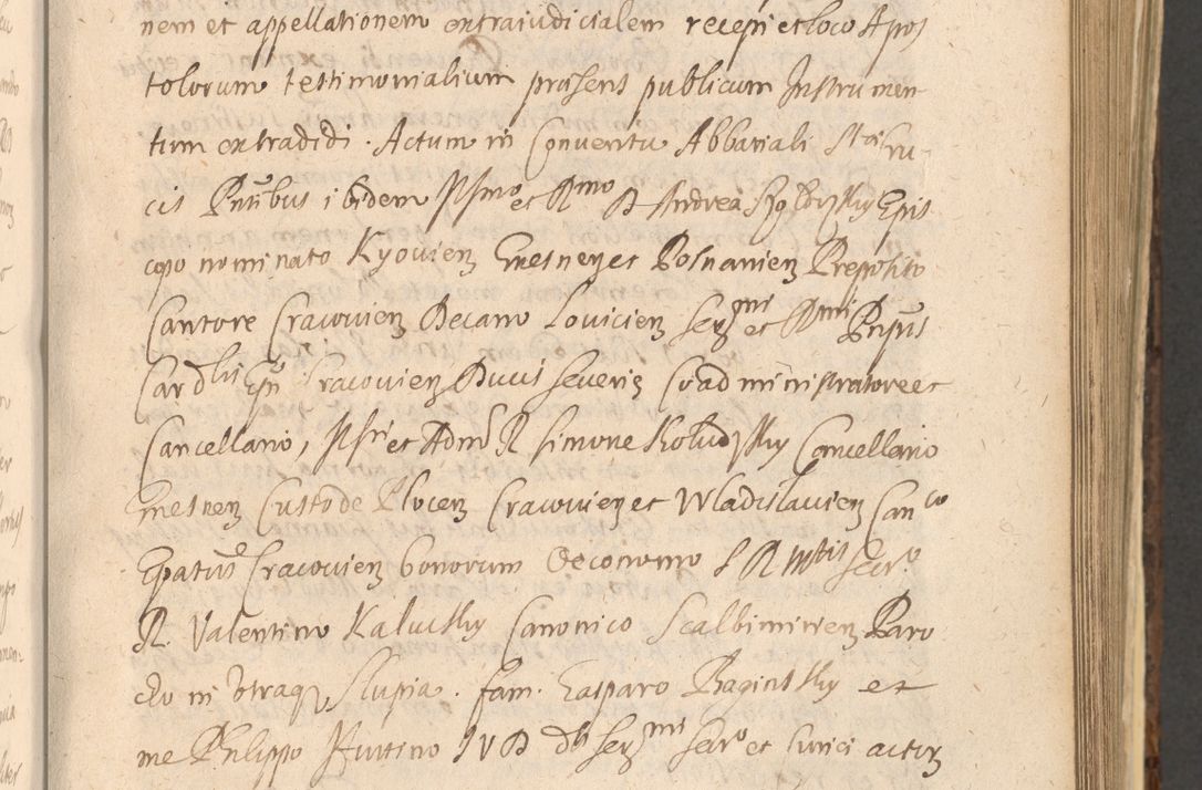 Zdjęcie nr 627 dla obiektu archiwalnego: Acta actorum, institutionum, resignationum, provisionum, decretorum, sententiarum, inscriptionum, testamentorum, confirmationum, ingrossationum, obligationum, quietationum, constitutionum R. D. Andreae Szołdrski, episcopi Kijoviensis, Gnesnensis et Posnaniensis praepositi, cantoris Cracoviensis, Vladislaviensis canonici, R. S. M. secretarii, episcopatus Cracoviensis in spiritualibus er temporalibus deputati anno 1633, 1634 et 1635