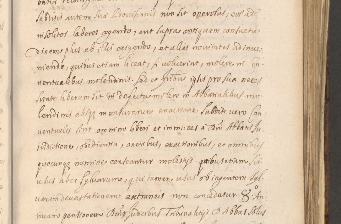 Zdjęcie nr 621 dla obiektu archiwalnego: Acta actorum, institutionum, resignationum, provisionum, decretorum, sententiarum, inscriptionum, testamentorum, confirmationum, ingrossationum, obligationum, quietationum, constitutionum R. D. Andreae Szołdrski, episcopi Kijoviensis, Gnesnensis et Posnaniensis praepositi, cantoris Cracoviensis, Vladislaviensis canonici, R. S. M. secretarii, episcopatus Cracoviensis in spiritualibus er temporalibus deputati anno 1633, 1634 et 1635