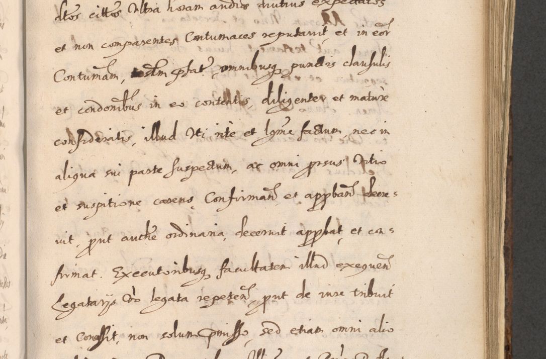 Zdjęcie nr 815 dla obiektu archiwalnego: Acta actorum, institutionum, resignationum, provisionum, decretorum, sententiarum, inscriptionum, testamentorum, confirmationum, ingrossationum, obligationum, quietationum, constitutionum R. D. Andreae Szołdrski, episcopi Kijoviensis, Gnesnensis et Posnaniensis praepositi, cantoris Cracoviensis, Vladislaviensis canonici, R. S. M. secretarii, episcopatus Cracoviensis in spiritualibus er temporalibus deputati anno 1633, 1634 et 1635