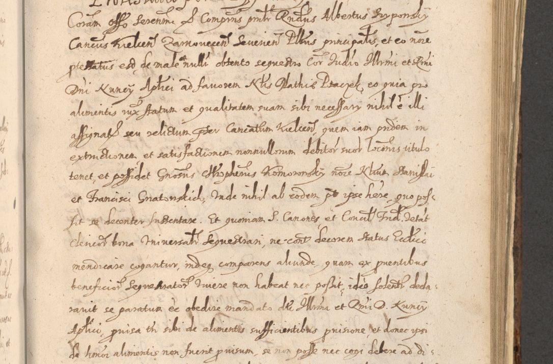 Zdjęcie nr 867 dla obiektu archiwalnego: Acta actorum, institutionum, resignationum, provisionum, decretorum, sententiarum, inscriptionum, testamentorum, confirmationum, ingrossationum, obligationum, quietationum, constitutionum R. D. Andreae Szołdrski, episcopi Kijoviensis, Gnesnensis et Posnaniensis praepositi, cantoris Cracoviensis, Vladislaviensis canonici, R. S. M. secretarii, episcopatus Cracoviensis in spiritualibus er temporalibus deputati anno 1633, 1634 et 1635