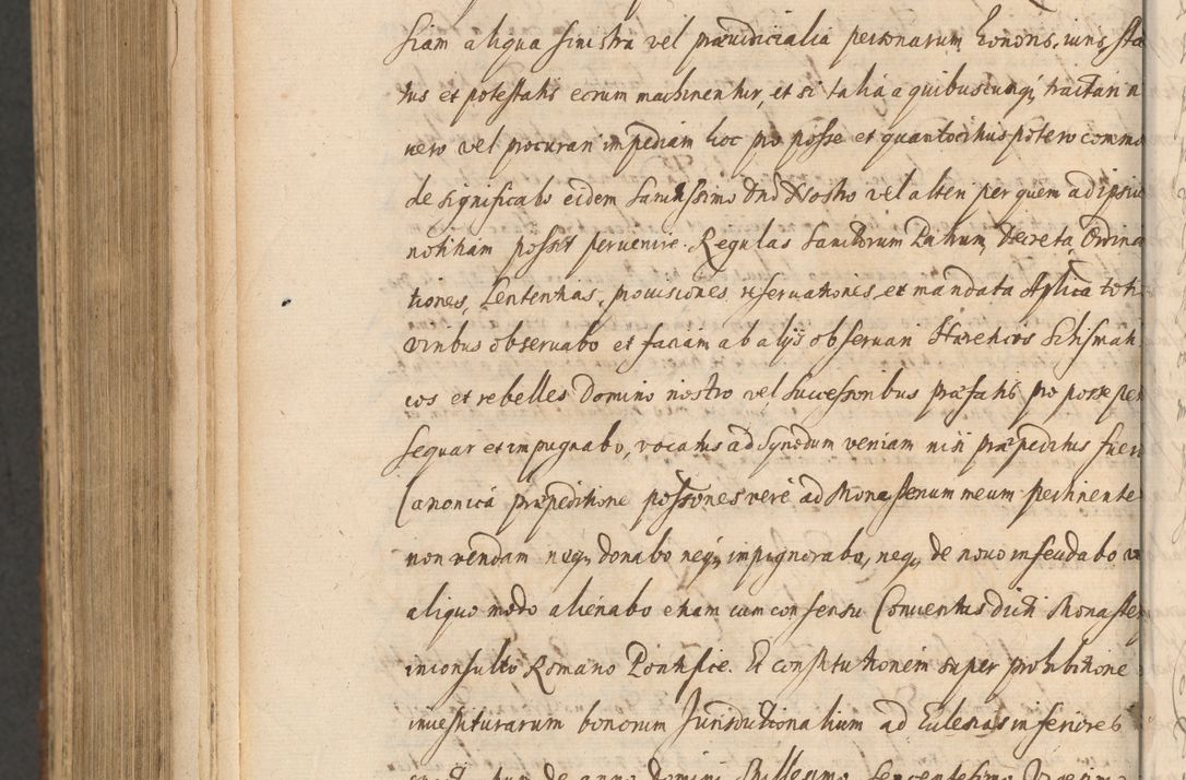 Zdjęcie nr 1176 dla obiektu archiwalnego: Acta actorum, institutionum, resignationum, provisionum, decretorum, sententiarum, inscriptionum, testamentorum, confirmationum, ingrossationum, obligationum, quietationum, constitutionum R. D. Andreae Szołdrski, episcopi Kijoviensis, Gnesnensis et Posnaniensis praepositi, cantoris Cracoviensis, Vladislaviensis canonici, R. S. M. secretarii, episcopatus Cracoviensis in spiritualibus er temporalibus deputati anno 1633, 1634 et 1635