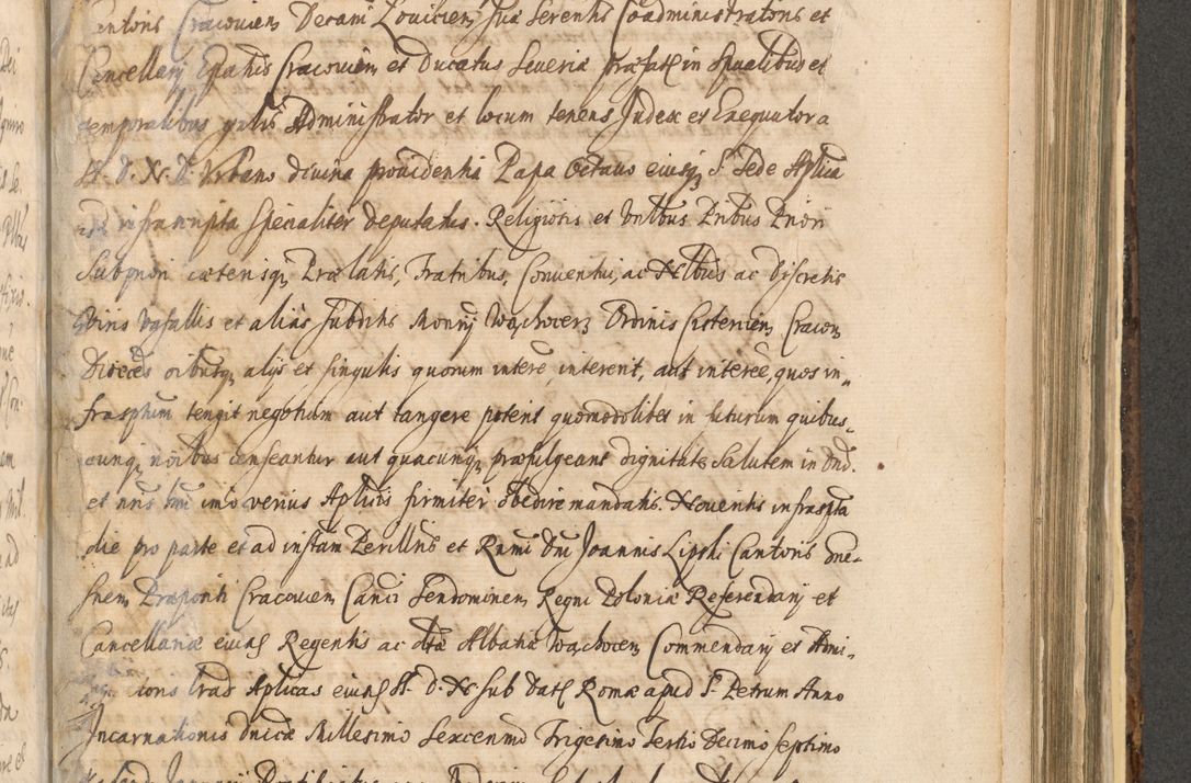 Zdjęcie nr 1165 dla obiektu archiwalnego: Acta actorum, institutionum, resignationum, provisionum, decretorum, sententiarum, inscriptionum, testamentorum, confirmationum, ingrossationum, obligationum, quietationum, constitutionum R. D. Andreae Szołdrski, episcopi Kijoviensis, Gnesnensis et Posnaniensis praepositi, cantoris Cracoviensis, Vladislaviensis canonici, R. S. M. secretarii, episcopatus Cracoviensis in spiritualibus er temporalibus deputati anno 1633, 1634 et 1635