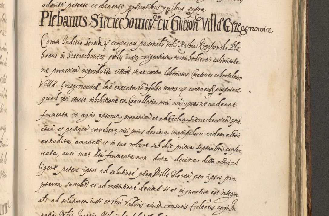Zdjęcie nr 1365 dla obiektu archiwalnego: Acta actorum, institutionum, resignationum, provisionum, decretorum, sententiarum, inscriptionum, testamentorum, confirmationum, ingrossationum, obligationum, quietationum, constitutionum R. D. Andreae Szołdrski, episcopi Kijoviensis, Gnesnensis et Posnaniensis praepositi, cantoris Cracoviensis, Vladislaviensis canonici, R. S. M. secretarii, episcopatus Cracoviensis in spiritualibus er temporalibus deputati anno 1633, 1634 et 1635