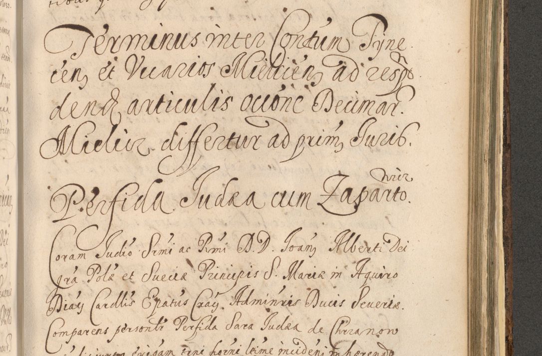 Zdjęcie nr 1257 dla obiektu archiwalnego: Acta actorum, institutionum, resignationum, provisionum, decretorum, sententiarum, inscriptionum, testamentorum, confirmationum, ingrossationum, obligationum, quietationum, constitutionum R. D. Andreae Szołdrski, episcopi Kijoviensis, Gnesnensis et Posnaniensis praepositi, cantoris Cracoviensis, Vladislaviensis canonici, R. S. M. secretarii, episcopatus Cracoviensis in spiritualibus er temporalibus deputati anno 1633, 1634 et 1635