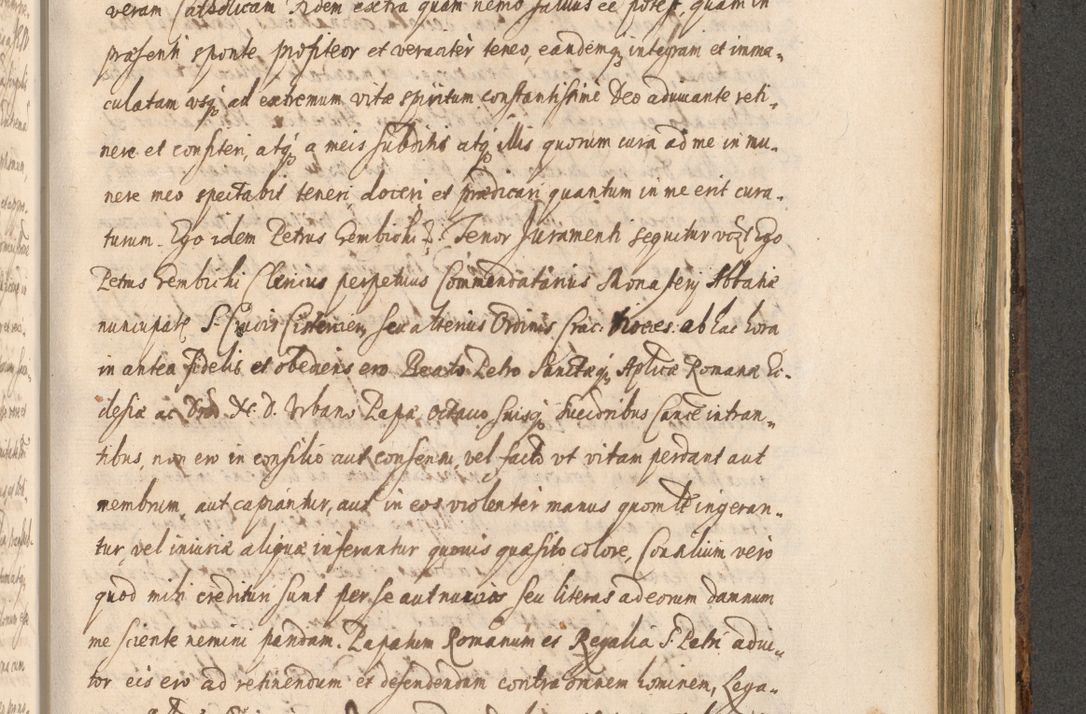 Zdjęcie nr 1231 dla obiektu archiwalnego: Acta actorum, institutionum, resignationum, provisionum, decretorum, sententiarum, inscriptionum, testamentorum, confirmationum, ingrossationum, obligationum, quietationum, constitutionum R. D. Andreae Szołdrski, episcopi Kijoviensis, Gnesnensis et Posnaniensis praepositi, cantoris Cracoviensis, Vladislaviensis canonici, R. S. M. secretarii, episcopatus Cracoviensis in spiritualibus er temporalibus deputati anno 1633, 1634 et 1635