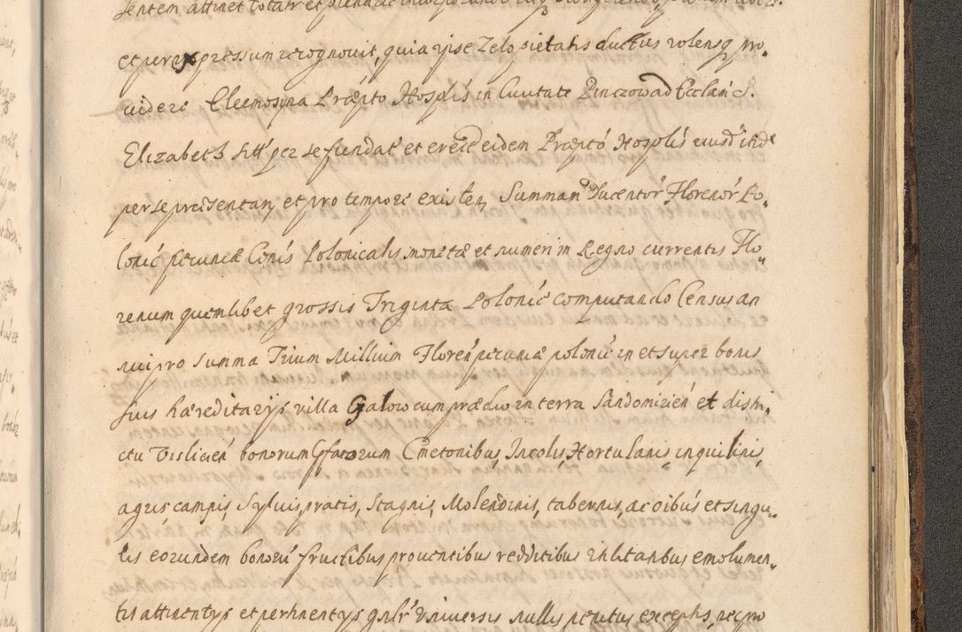 Zdjęcie nr 1609 dla obiektu archiwalnego: Acta actorum, institutionum, resignationum, provisionum, decretorum, sententiarum, inscriptionum, testamentorum, confirmationum, ingrossationum, obligationum, quietationum, constitutionum R. D. Andreae Szołdrski, episcopi Kijoviensis, Gnesnensis et Posnaniensis praepositi, cantoris Cracoviensis, Vladislaviensis canonici, R. S. M. secretarii, episcopatus Cracoviensis in spiritualibus er temporalibus deputati anno 1633, 1634 et 1635