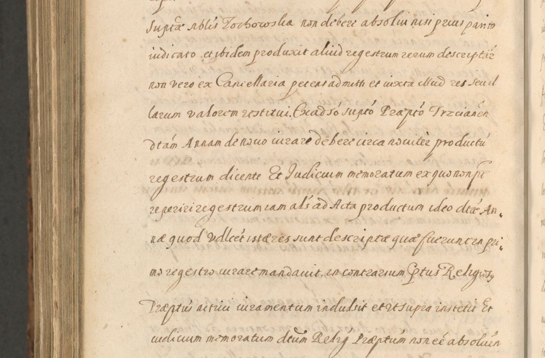 Zdjęcie nr 1602 dla obiektu archiwalnego: Acta actorum, institutionum, resignationum, provisionum, decretorum, sententiarum, inscriptionum, testamentorum, confirmationum, ingrossationum, obligationum, quietationum, constitutionum R. D. Andreae Szołdrski, episcopi Kijoviensis, Gnesnensis et Posnaniensis praepositi, cantoris Cracoviensis, Vladislaviensis canonici, R. S. M. secretarii, episcopatus Cracoviensis in spiritualibus er temporalibus deputati anno 1633, 1634 et 1635