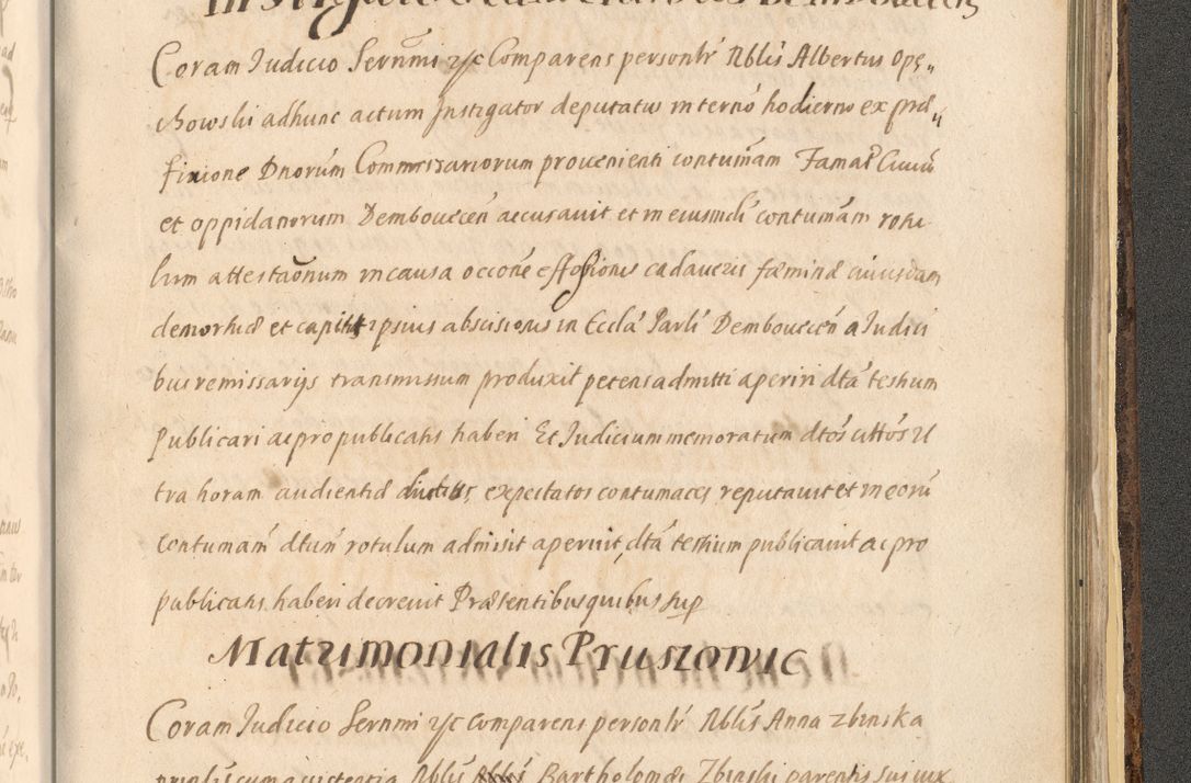 Zdjęcie nr 1577 dla obiektu archiwalnego: Acta actorum, institutionum, resignationum, provisionum, decretorum, sententiarum, inscriptionum, testamentorum, confirmationum, ingrossationum, obligationum, quietationum, constitutionum R. D. Andreae Szołdrski, episcopi Kijoviensis, Gnesnensis et Posnaniensis praepositi, cantoris Cracoviensis, Vladislaviensis canonici, R. S. M. secretarii, episcopatus Cracoviensis in spiritualibus er temporalibus deputati anno 1633, 1634 et 1635