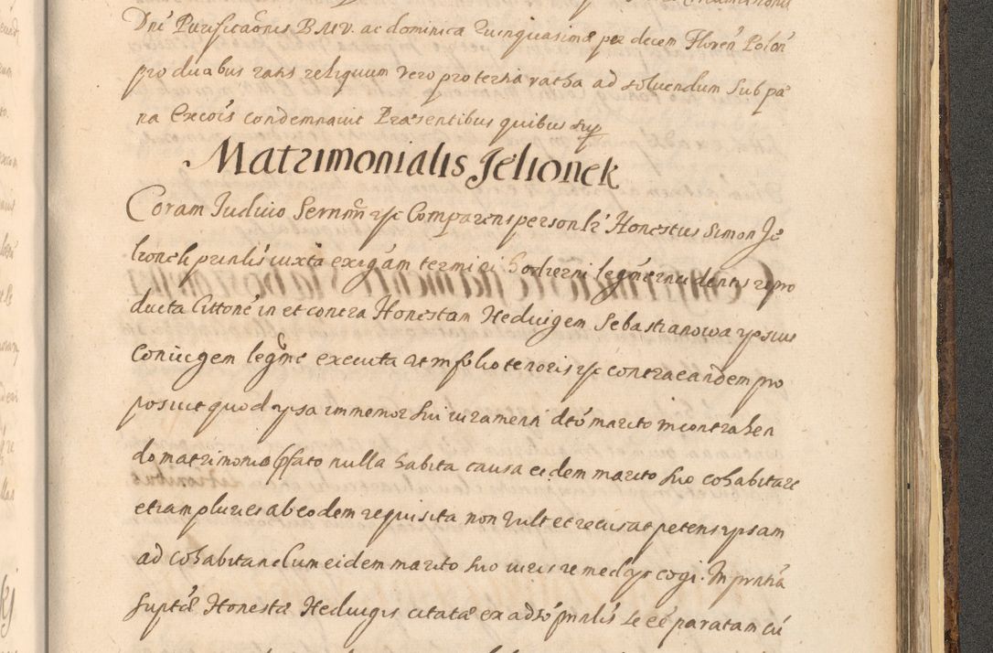 Zdjęcie nr 1565 dla obiektu archiwalnego: Acta actorum, institutionum, resignationum, provisionum, decretorum, sententiarum, inscriptionum, testamentorum, confirmationum, ingrossationum, obligationum, quietationum, constitutionum R. D. Andreae Szołdrski, episcopi Kijoviensis, Gnesnensis et Posnaniensis praepositi, cantoris Cracoviensis, Vladislaviensis canonici, R. S. M. secretarii, episcopatus Cracoviensis in spiritualibus er temporalibus deputati anno 1633, 1634 et 1635