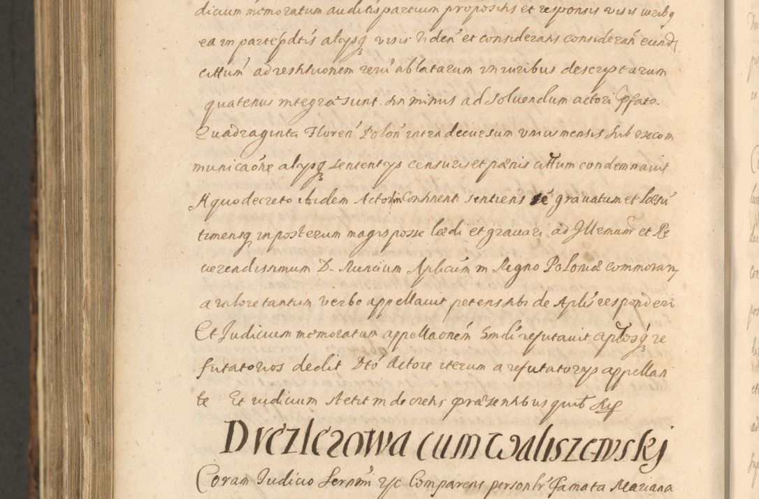 Zdjęcie nr 1564 dla obiektu archiwalnego: Acta actorum, institutionum, resignationum, provisionum, decretorum, sententiarum, inscriptionum, testamentorum, confirmationum, ingrossationum, obligationum, quietationum, constitutionum R. D. Andreae Szołdrski, episcopi Kijoviensis, Gnesnensis et Posnaniensis praepositi, cantoris Cracoviensis, Vladislaviensis canonici, R. S. M. secretarii, episcopatus Cracoviensis in spiritualibus er temporalibus deputati anno 1633, 1634 et 1635