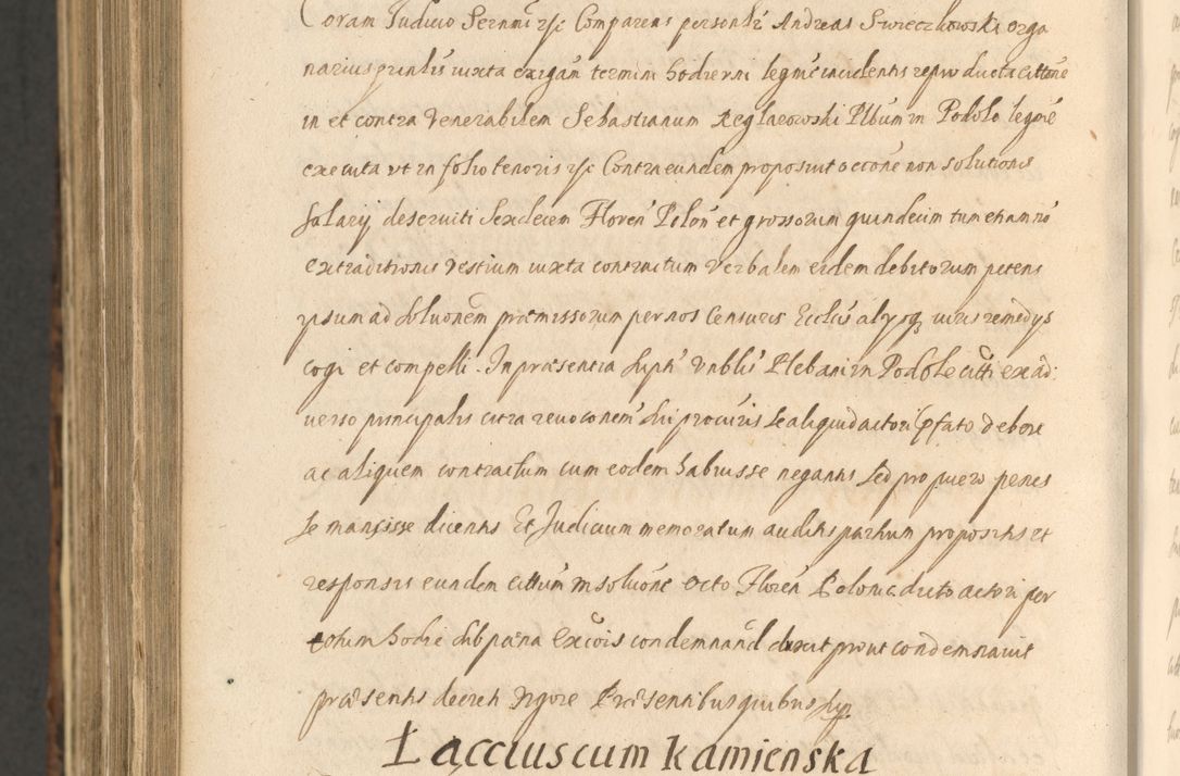 Zdjęcie nr 1560 dla obiektu archiwalnego: Acta actorum, institutionum, resignationum, provisionum, decretorum, sententiarum, inscriptionum, testamentorum, confirmationum, ingrossationum, obligationum, quietationum, constitutionum R. D. Andreae Szołdrski, episcopi Kijoviensis, Gnesnensis et Posnaniensis praepositi, cantoris Cracoviensis, Vladislaviensis canonici, R. S. M. secretarii, episcopatus Cracoviensis in spiritualibus er temporalibus deputati anno 1633, 1634 et 1635