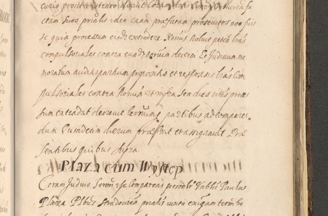 Zdjęcie nr 1539 dla obiektu archiwalnego: Acta actorum, institutionum, resignationum, provisionum, decretorum, sententiarum, inscriptionum, testamentorum, confirmationum, ingrossationum, obligationum, quietationum, constitutionum R. D. Andreae Szołdrski, episcopi Kijoviensis, Gnesnensis et Posnaniensis praepositi, cantoris Cracoviensis, Vladislaviensis canonici, R. S. M. secretarii, episcopatus Cracoviensis in spiritualibus er temporalibus deputati anno 1633, 1634 et 1635