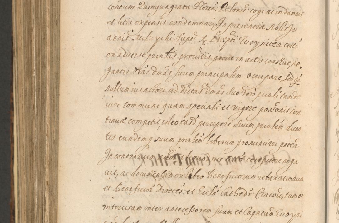 Zdjęcie nr 1530 dla obiektu archiwalnego: Acta actorum, institutionum, resignationum, provisionum, decretorum, sententiarum, inscriptionum, testamentorum, confirmationum, ingrossationum, obligationum, quietationum, constitutionum R. D. Andreae Szołdrski, episcopi Kijoviensis, Gnesnensis et Posnaniensis praepositi, cantoris Cracoviensis, Vladislaviensis canonici, R. S. M. secretarii, episcopatus Cracoviensis in spiritualibus er temporalibus deputati anno 1633, 1634 et 1635