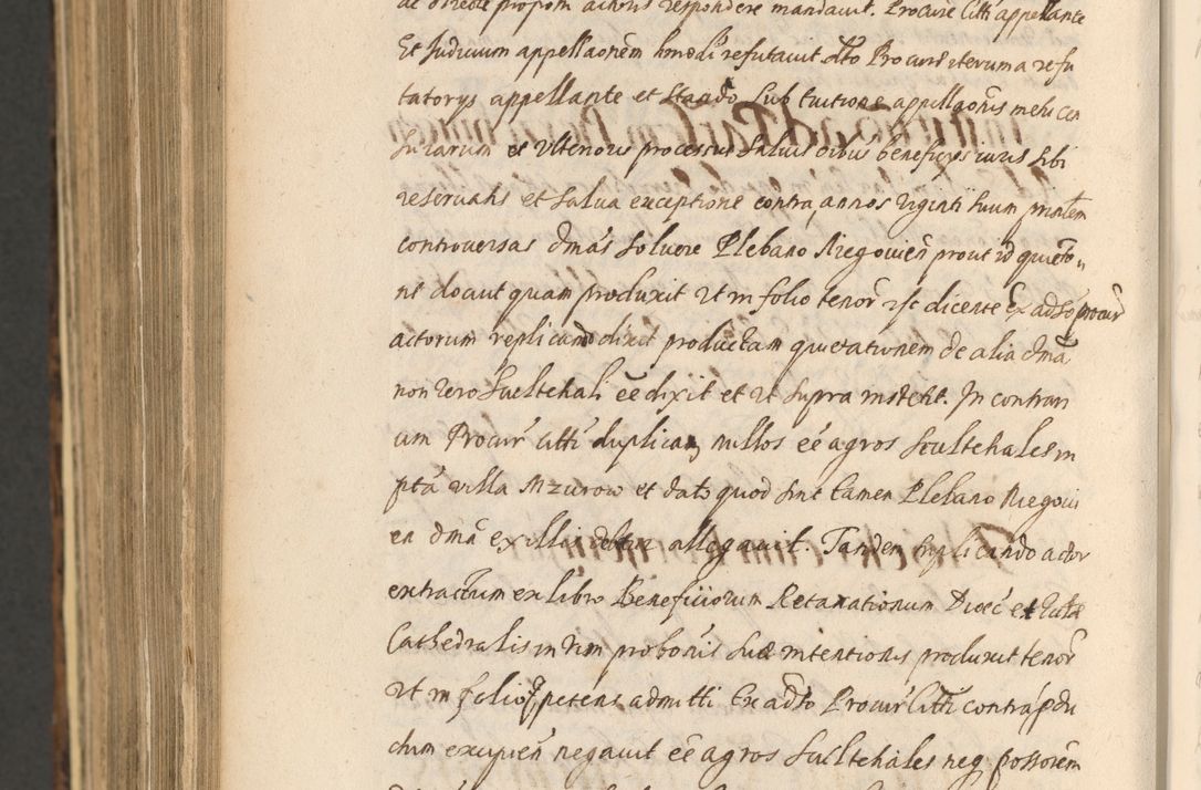Zdjęcie nr 1512 dla obiektu archiwalnego: Acta actorum, institutionum, resignationum, provisionum, decretorum, sententiarum, inscriptionum, testamentorum, confirmationum, ingrossationum, obligationum, quietationum, constitutionum R. D. Andreae Szołdrski, episcopi Kijoviensis, Gnesnensis et Posnaniensis praepositi, cantoris Cracoviensis, Vladislaviensis canonici, R. S. M. secretarii, episcopatus Cracoviensis in spiritualibus er temporalibus deputati anno 1633, 1634 et 1635