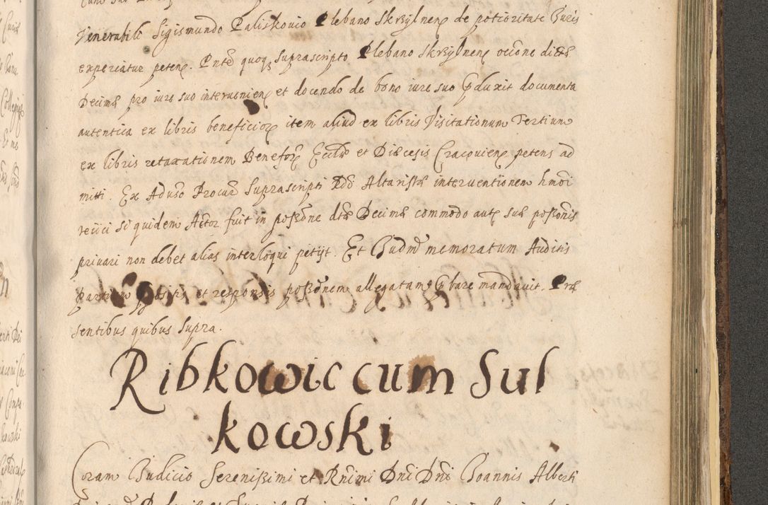 Zdjęcie nr 1469 dla obiektu archiwalnego: Acta actorum, institutionum, resignationum, provisionum, decretorum, sententiarum, inscriptionum, testamentorum, confirmationum, ingrossationum, obligationum, quietationum, constitutionum R. D. Andreae Szołdrski, episcopi Kijoviensis, Gnesnensis et Posnaniensis praepositi, cantoris Cracoviensis, Vladislaviensis canonici, R. S. M. secretarii, episcopatus Cracoviensis in spiritualibus er temporalibus deputati anno 1633, 1634 et 1635