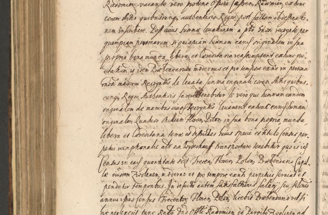 Zdjęcie nr 1434 dla obiektu archiwalnego: Acta actorum, institutionum, resignationum, provisionum, decretorum, sententiarum, inscriptionum, testamentorum, confirmationum, ingrossationum, obligationum, quietationum, constitutionum R. D. Andreae Szołdrski, episcopi Kijoviensis, Gnesnensis et Posnaniensis praepositi, cantoris Cracoviensis, Vladislaviensis canonici, R. S. M. secretarii, episcopatus Cracoviensis in spiritualibus er temporalibus deputati anno 1633, 1634 et 1635