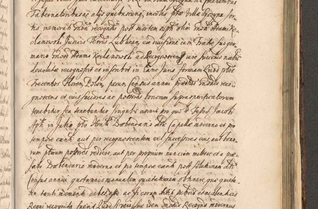 Zdjęcie nr 1433 dla obiektu archiwalnego: Acta actorum, institutionum, resignationum, provisionum, decretorum, sententiarum, inscriptionum, testamentorum, confirmationum, ingrossationum, obligationum, quietationum, constitutionum R. D. Andreae Szołdrski, episcopi Kijoviensis, Gnesnensis et Posnaniensis praepositi, cantoris Cracoviensis, Vladislaviensis canonici, R. S. M. secretarii, episcopatus Cracoviensis in spiritualibus er temporalibus deputati anno 1633, 1634 et 1635