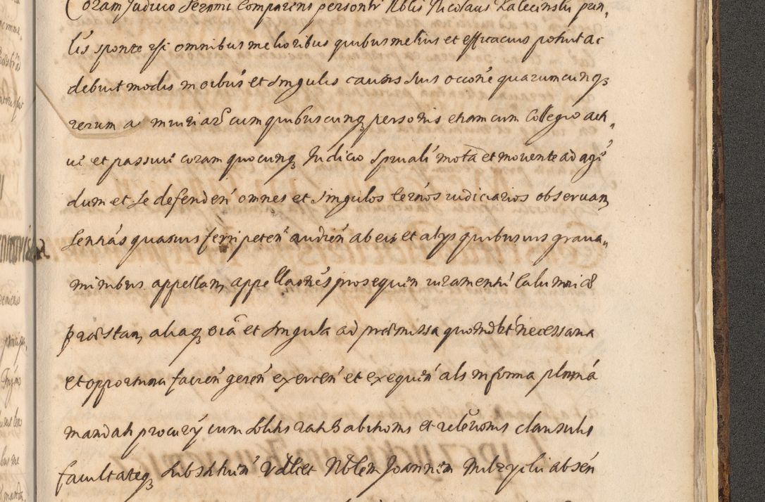 Zdjęcie nr 1663 dla obiektu archiwalnego: Acta actorum, institutionum, resignationum, provisionum, decretorum, sententiarum, inscriptionum, testamentorum, confirmationum, ingrossationum, obligationum, quietationum, constitutionum R. D. Andreae Szołdrski, episcopi Kijoviensis, Gnesnensis et Posnaniensis praepositi, cantoris Cracoviensis, Vladislaviensis canonici, R. S. M. secretarii, episcopatus Cracoviensis in spiritualibus er temporalibus deputati anno 1633, 1634 et 1635