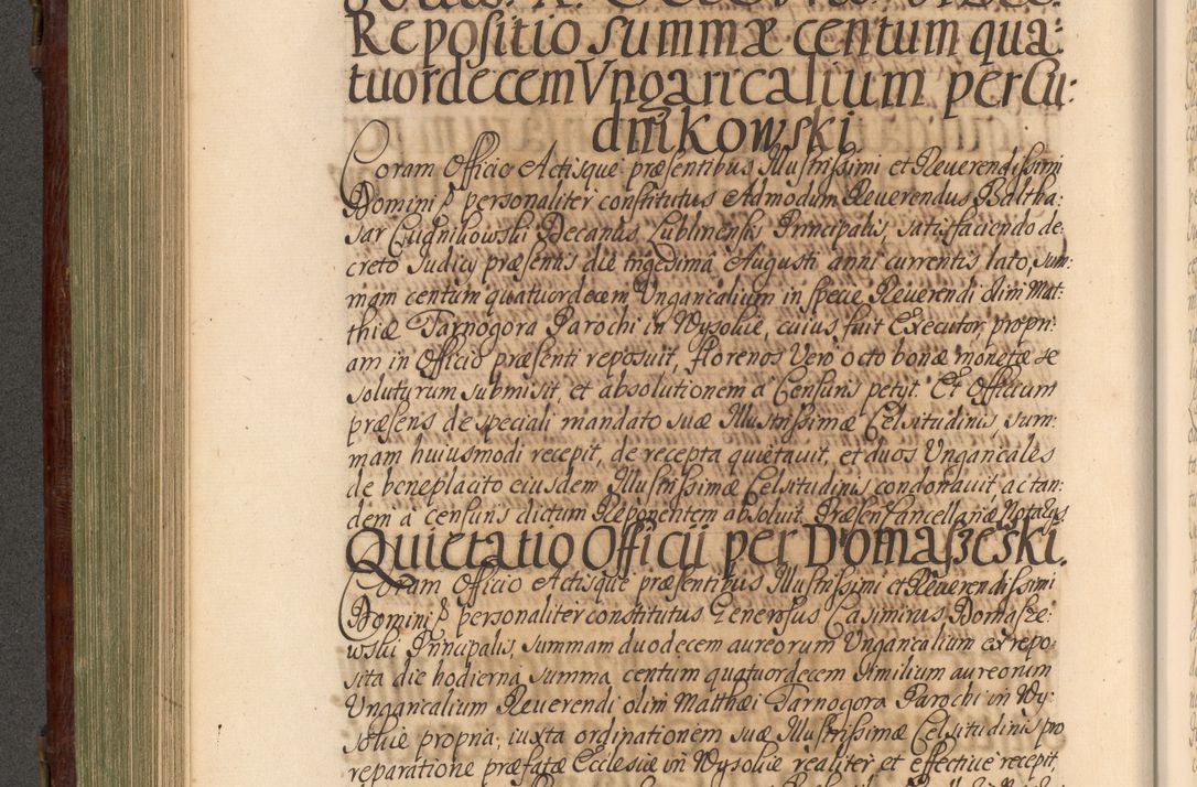 Zdjęcie nr 393 dla obiektu archiwalnego: Acta actorum episcopalium R. D. Andrea Trzebicki, episcopi Cracoviensis a mense Aprili 1675 ad Aprilem 1676 acticatorum. Volumen VI