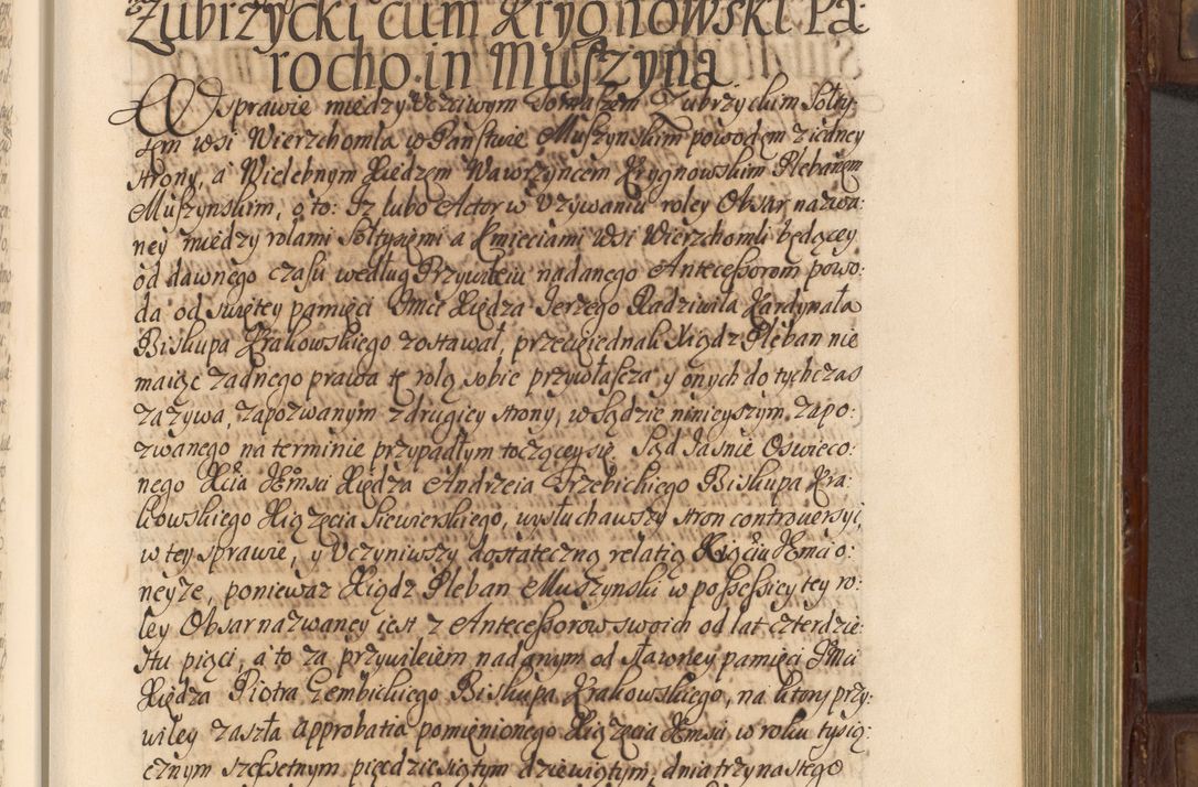 Zdjęcie nr 390 dla obiektu archiwalnego: Acta actorum episcopalium R. D. Andrea Trzebicki, episcopi Cracoviensis a mense Aprili 1675 ad Aprilem 1676 acticatorum. Volumen VI