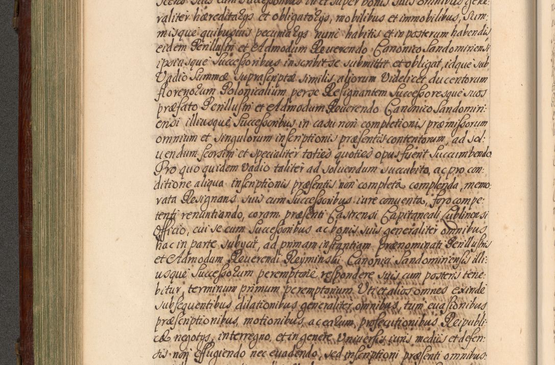 Zdjęcie nr 315 dla obiektu archiwalnego: Acta actorum episcopalium R. D. Andrea Trzebicki, episcopi Cracoviensis a mense Aprili 1675 ad Aprilem 1676 acticatorum. Volumen VI
