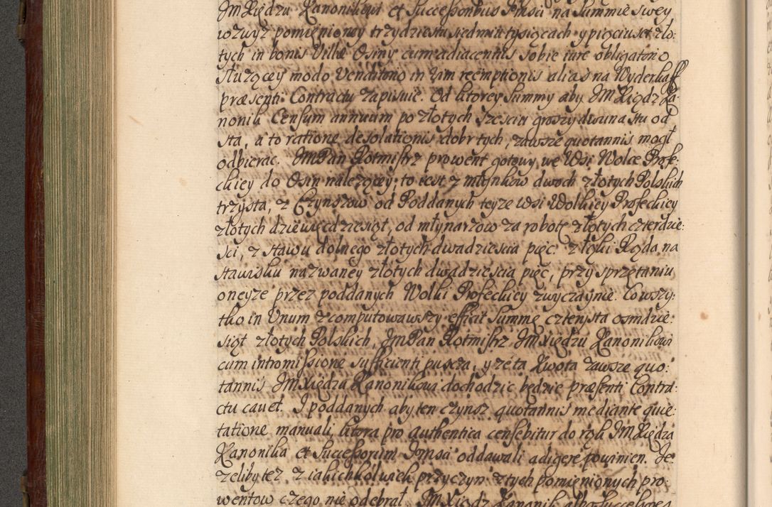 Zdjęcie nr 317 dla obiektu archiwalnego: Acta actorum episcopalium R. D. Andrea Trzebicki, episcopi Cracoviensis a mense Aprili 1675 ad Aprilem 1676 acticatorum. Volumen VI