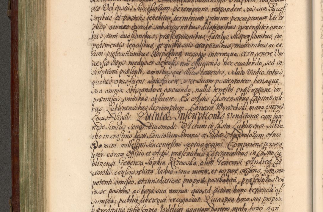 Zdjęcie nr 313 dla obiektu archiwalnego: Acta actorum episcopalium R. D. Andrea Trzebicki, episcopi Cracoviensis a mense Aprili 1675 ad Aprilem 1676 acticatorum. Volumen VI